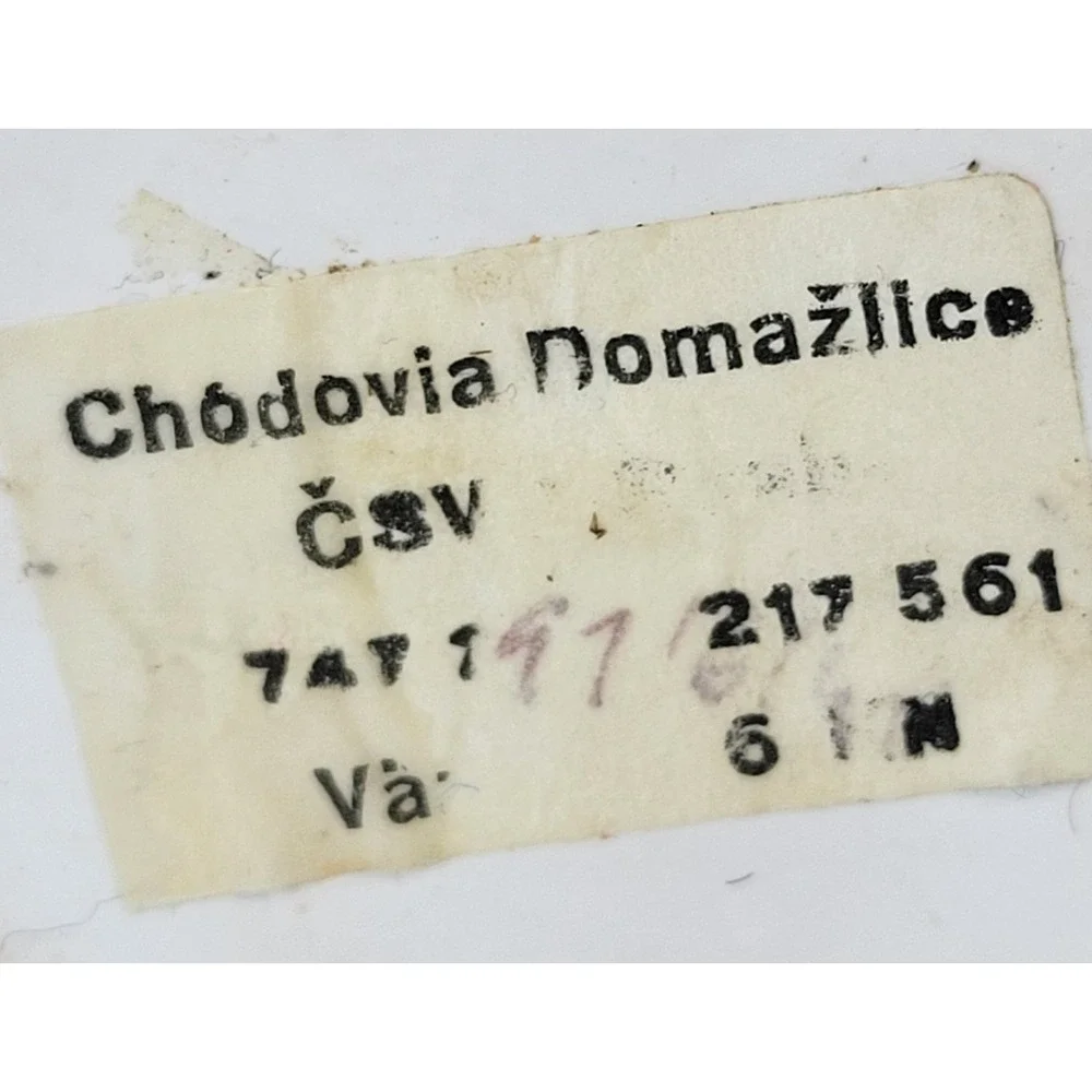 Chodovia Domažlice Hand-Painted Floral‎ Vase 5